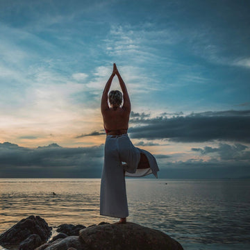 Meditación guiada + Sesión